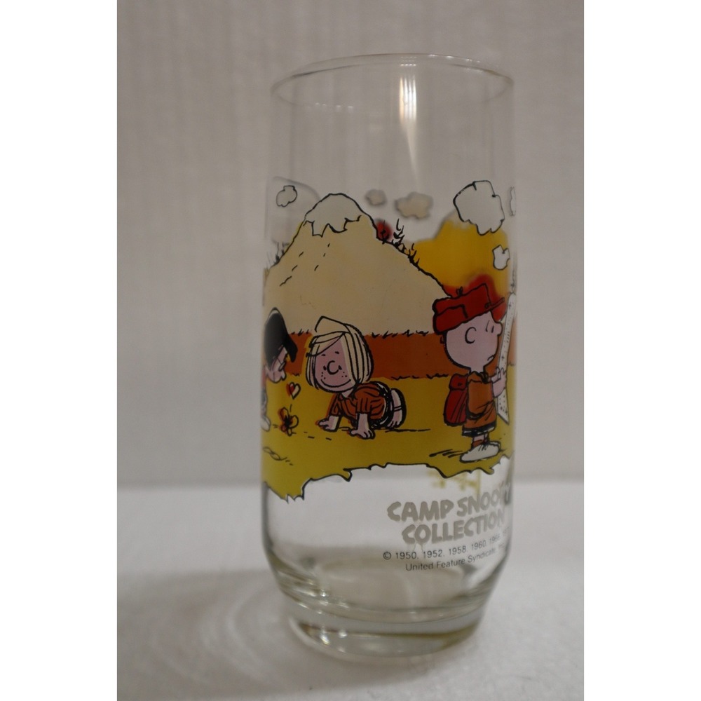 VTG McDonalds Camp Snoopy‎ Collection Charlie Brown Display Clear Drink Glass 6"